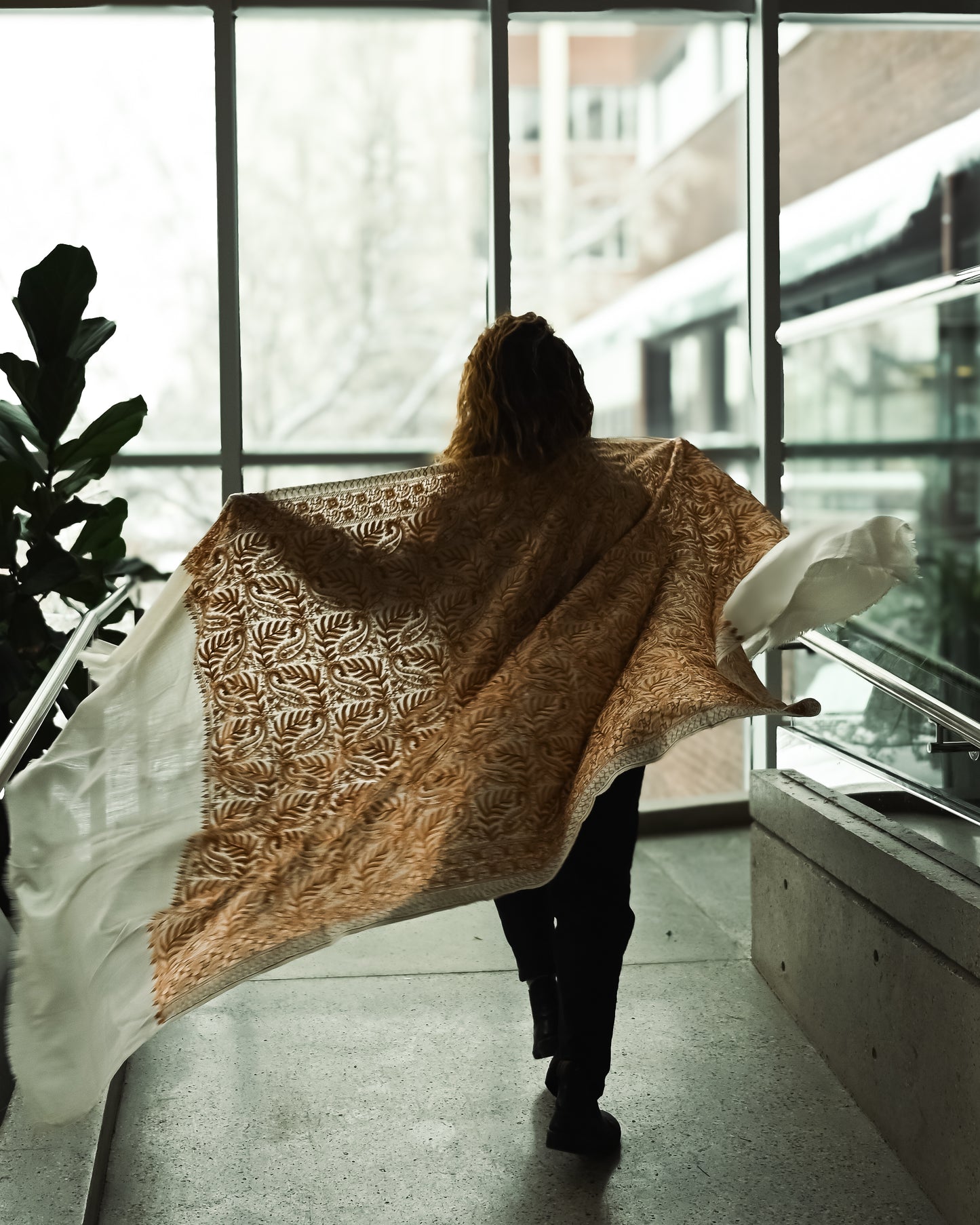 The Kashmir Pashmina Shawl (Cream)