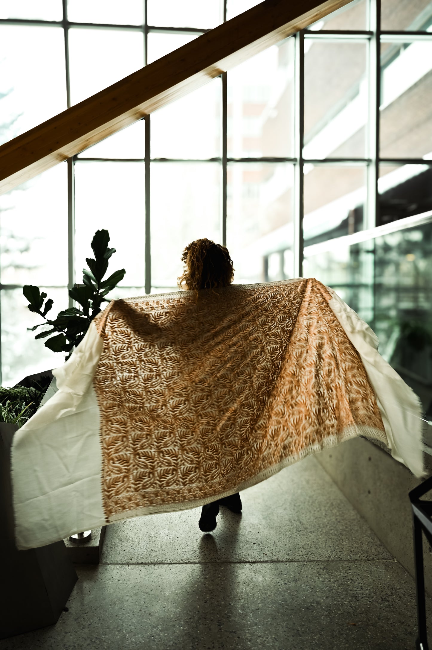 The Kashmir Pashmina Shawl (Cream)